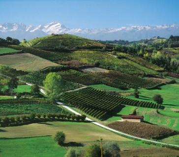 7-daags arrangement Turijn & Langhe