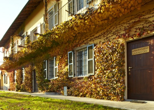 Agriturismo Vignarello - Afbeelding 1