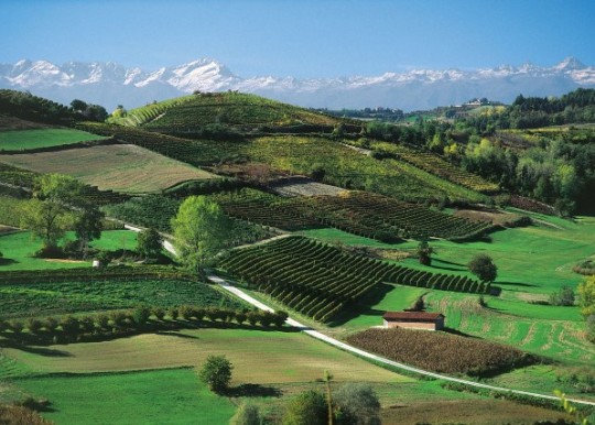 7-daags arrangement Turijn & Langhe - Afbeelding 1