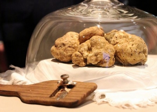 4-daagse Belevingsreis Barolo & Alba Witte Truffel - Afbeelding 1